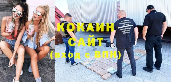 прущая мука Арсеньев