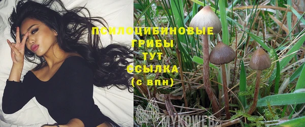 MESCALINE Армянск