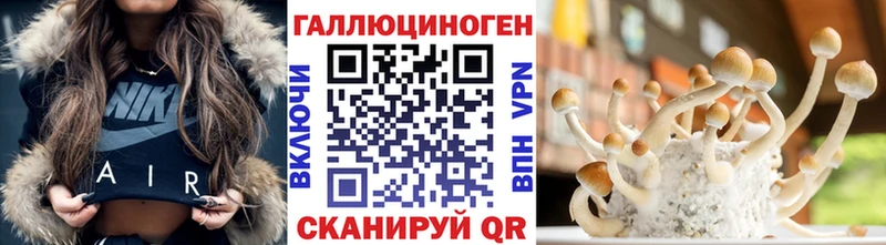Псилоцибиновые грибы GOLDEN TEACHER  Суровикино 